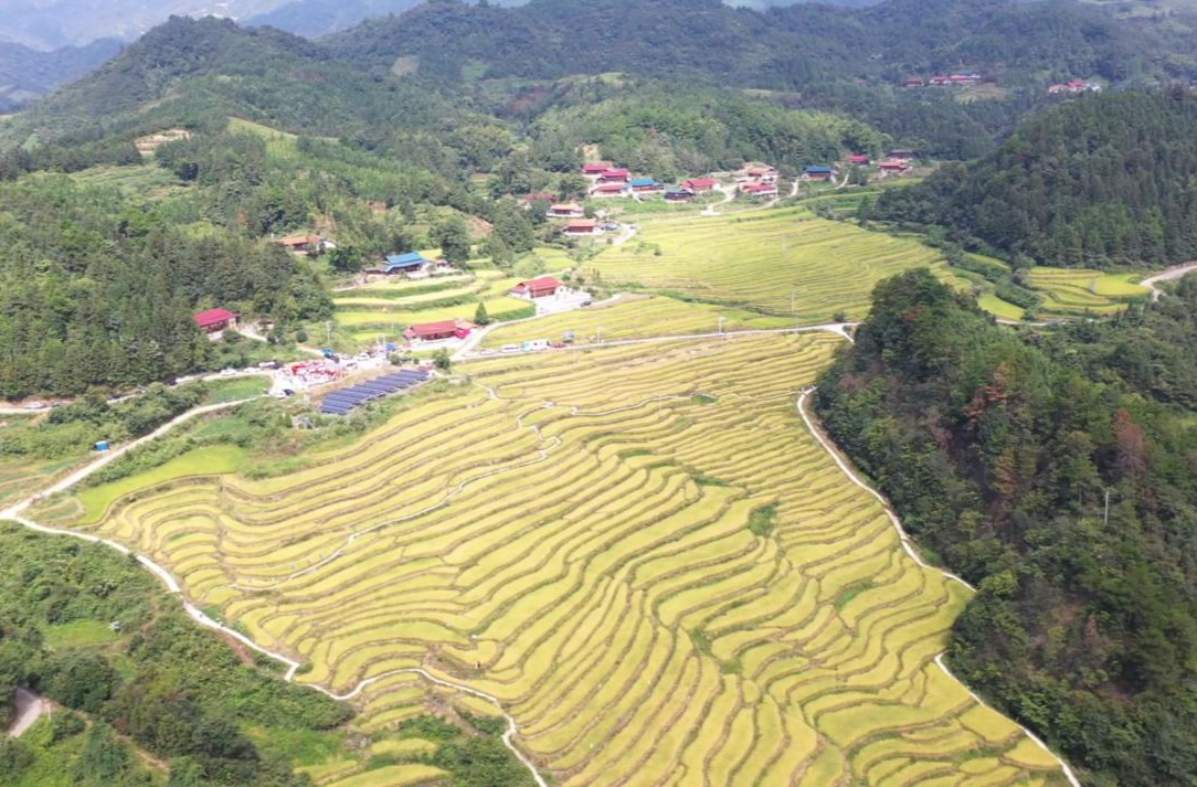 四中全会精神在基层｜牛牯坪乡掀起学习贯彻党的二十届四中全会精神热潮 以奋进姿态谱写乡村振兴新征程