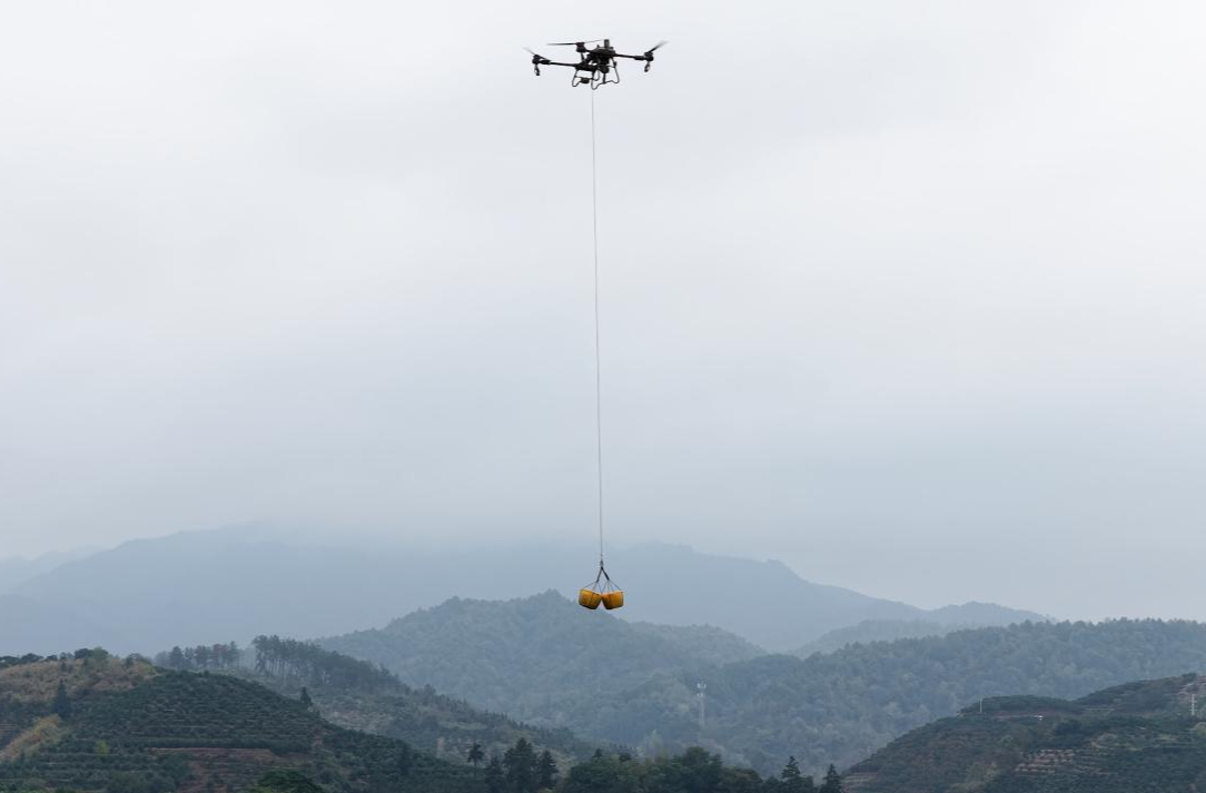 芷江黄栗坳村“新农人”玩转无人机 山地柑橘运输告别“肩挑背扛”