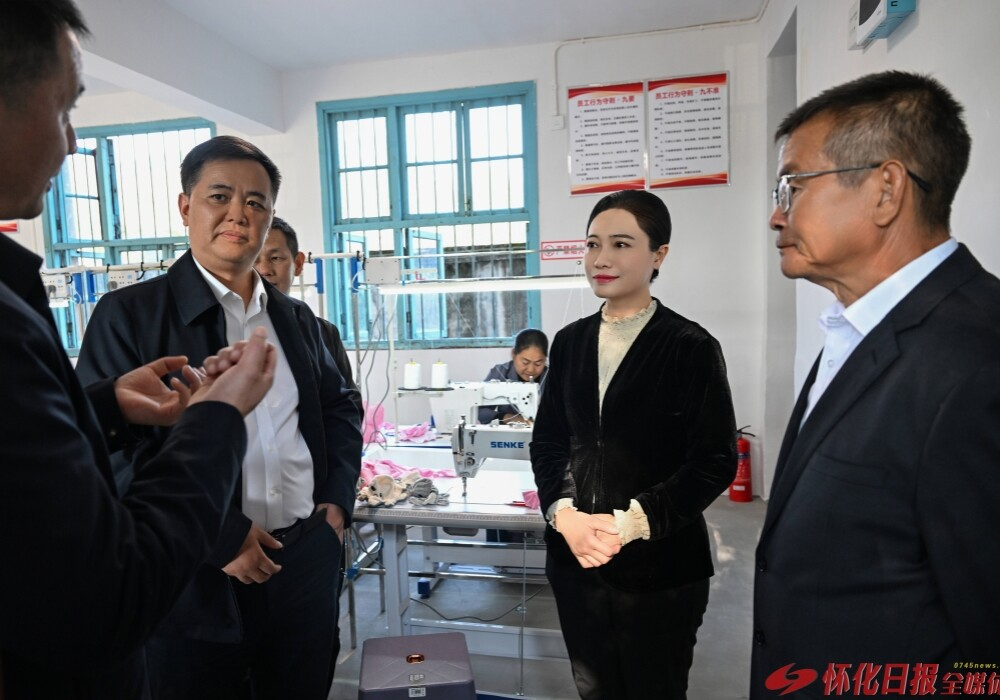 韦朝晖在溆浦调研