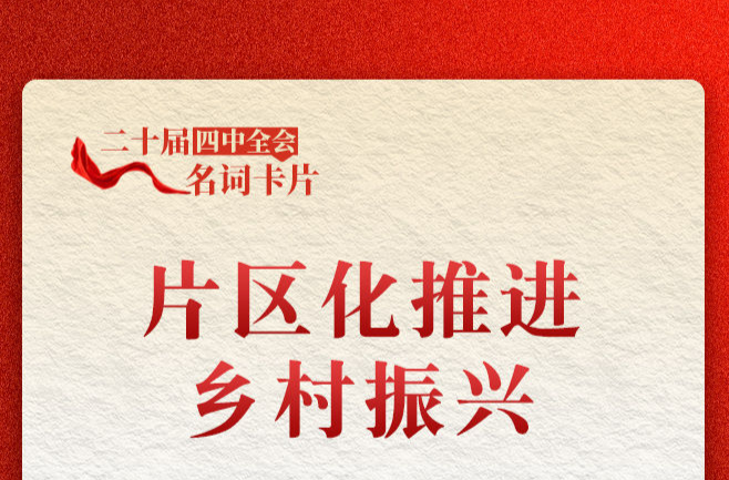 二十届四中全会名词卡片：片区化推进乡村振兴