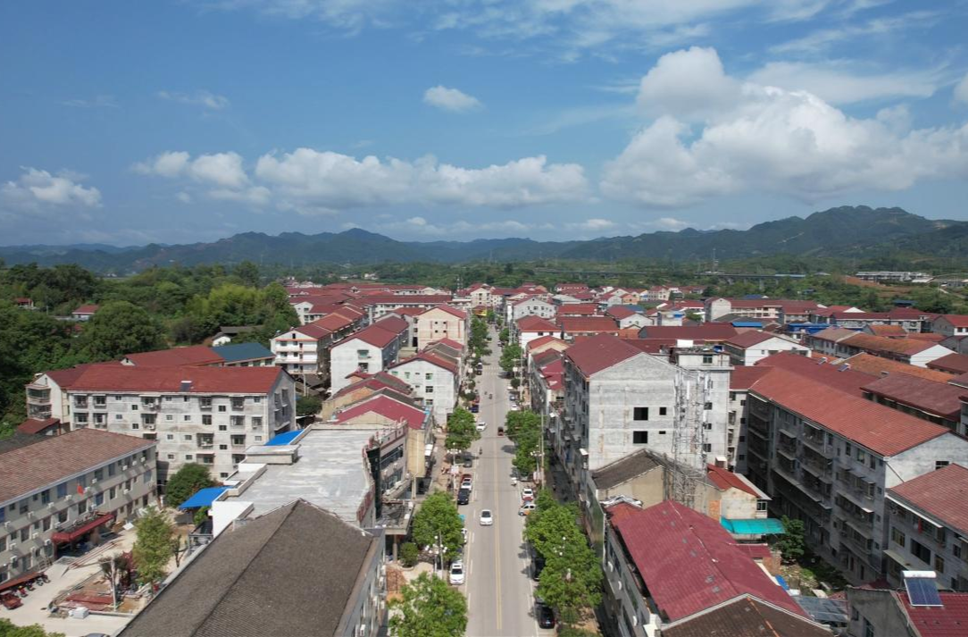 四中全会精神在基层｜新店坪镇深入学习贯彻党的二十届四中全会精神