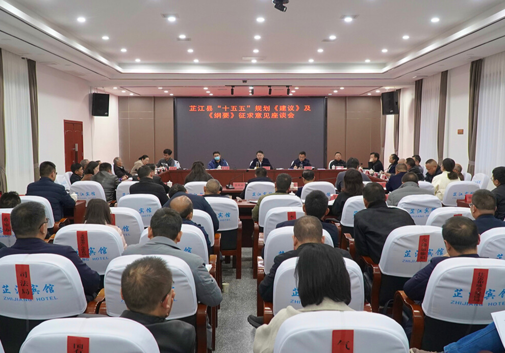 芷江“十五五”规划《建议》及《纲要》征求意见座谈会召开