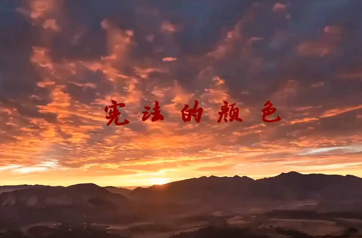 视频丨宪法的颜色