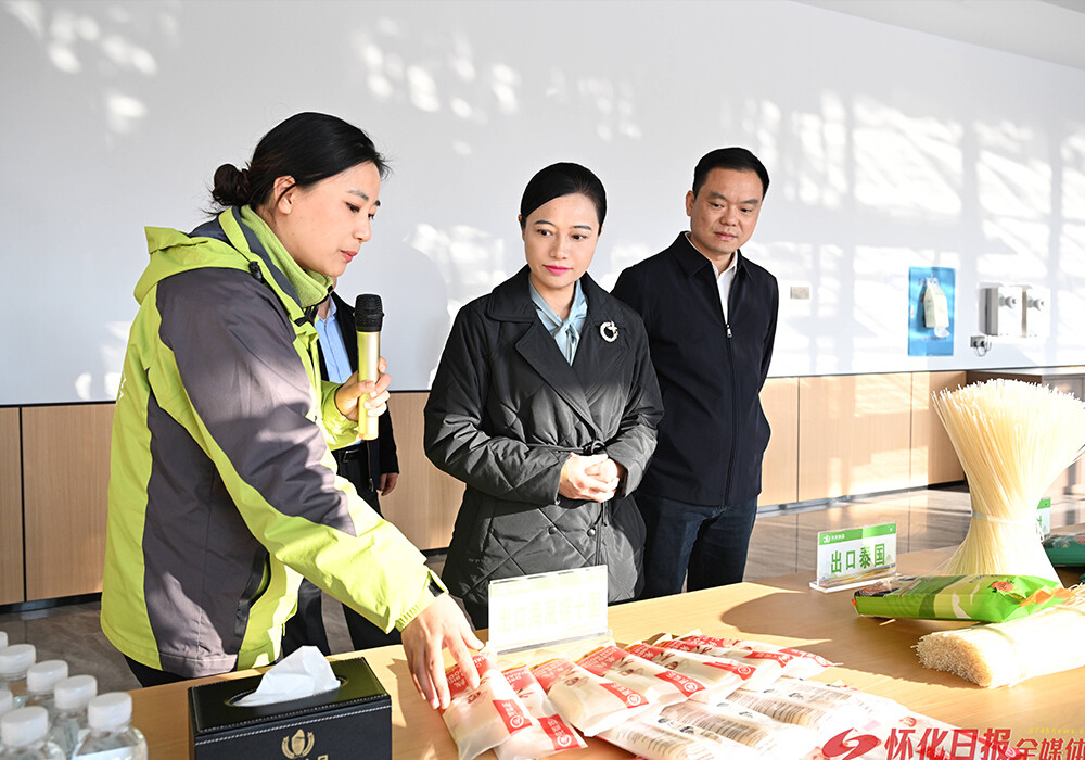 韦朝晖在中方县调研