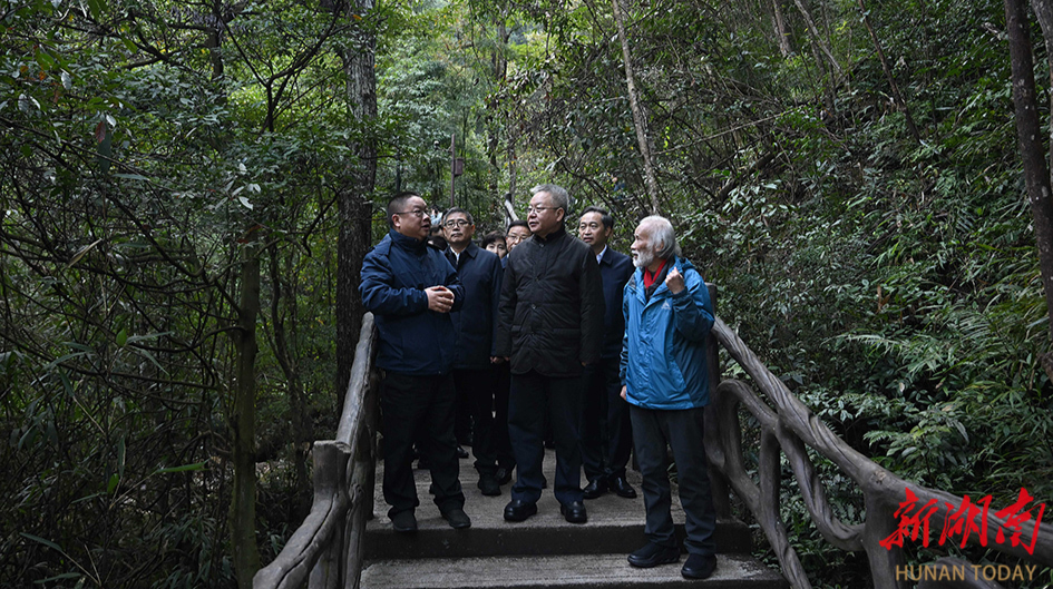 沈晓明赴郴州市开展巡林工作