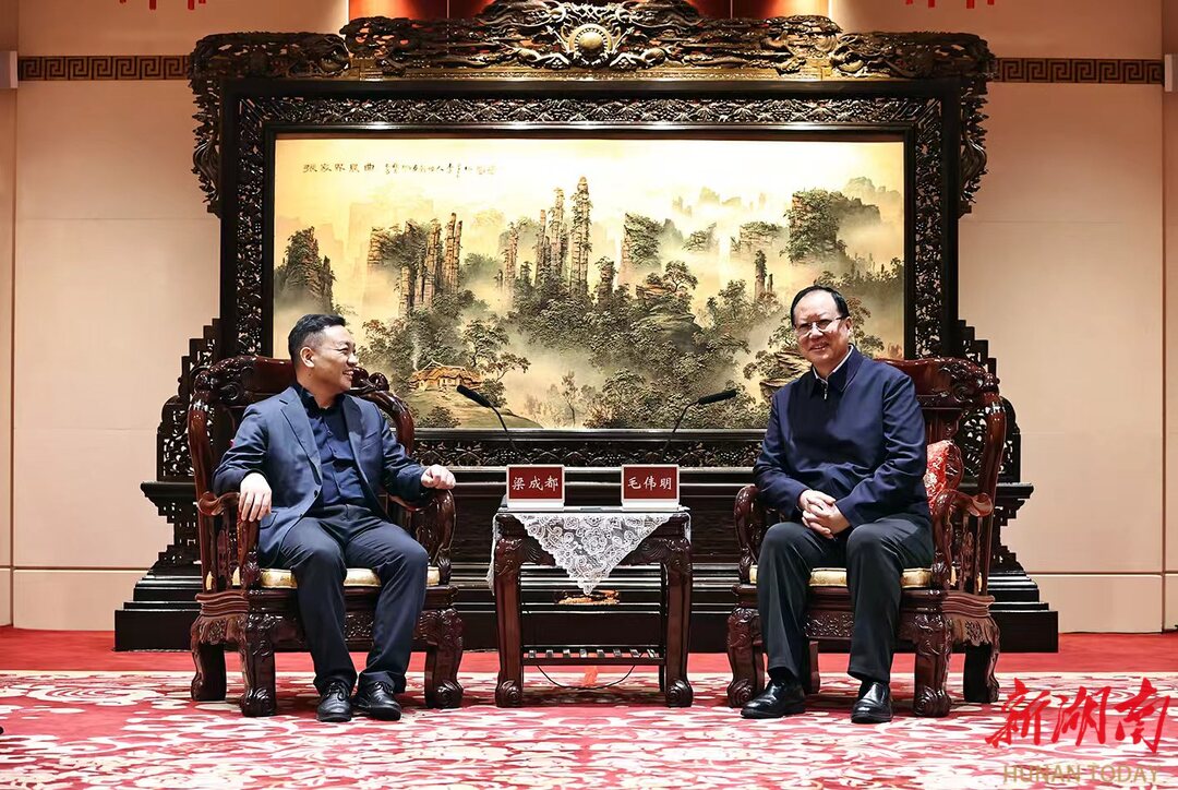 总规模60GWh的新一代锂电池项目落户湖南 毛伟明见证签约并与梁成都座谈