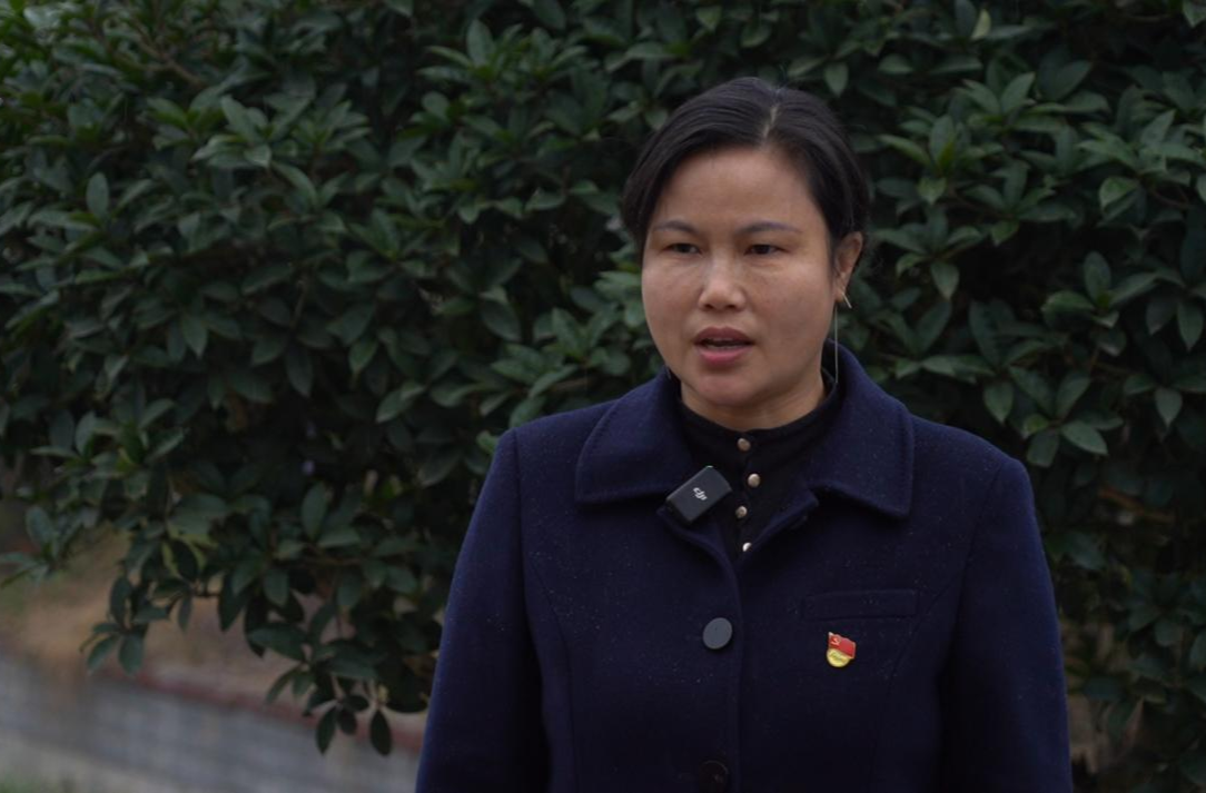 四中全会精神在基层｜罗旧镇：学习贯彻党的二十届四中全会和县委八届九次全会精神