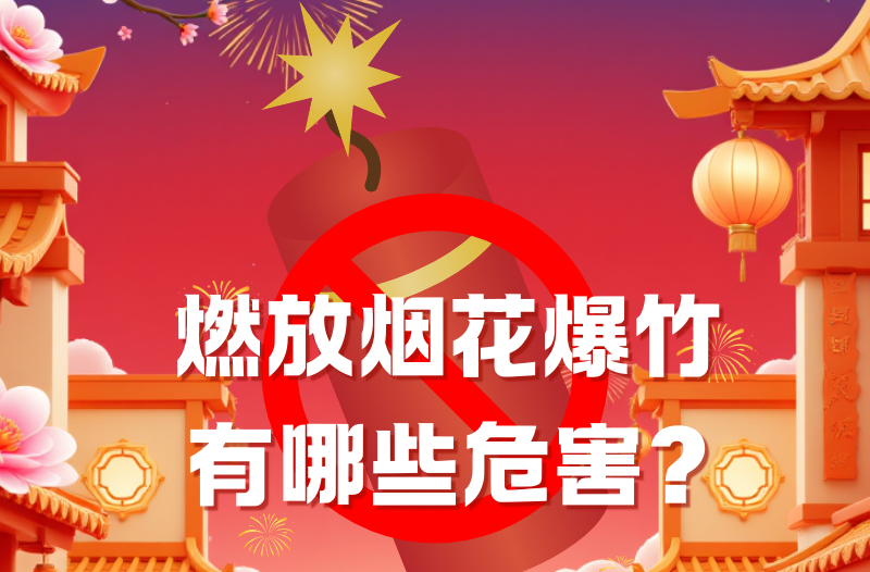长图 | 燃放烟花爆竹有哪些危害?