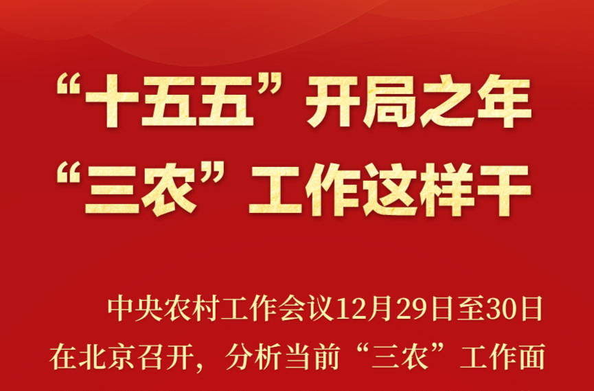 新华社权威速览｜“十五五”开局之年，“三农”工作这样干！
