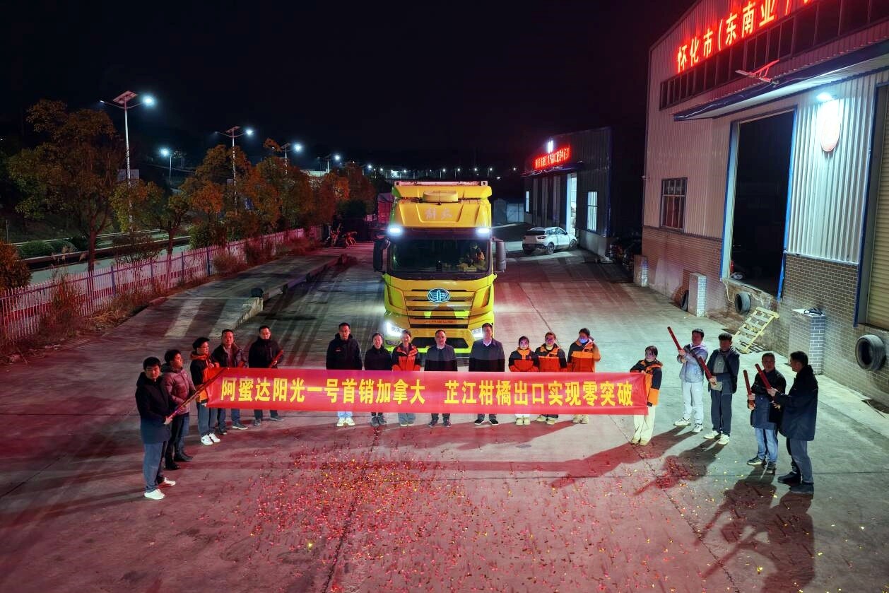 新年开新局丨芷江“阳光一号”柑橘首航北美 “怀橙”飘香国际 芷江柑橘产业破局高端市场