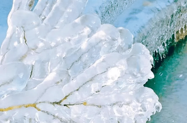 国家防减救灾办：针对湖南等四省启动国家低温雨雪冰冻灾害四级应急响应