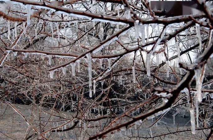 全省最低气温降至2℃以下，湖南发布今年首个寒潮预警