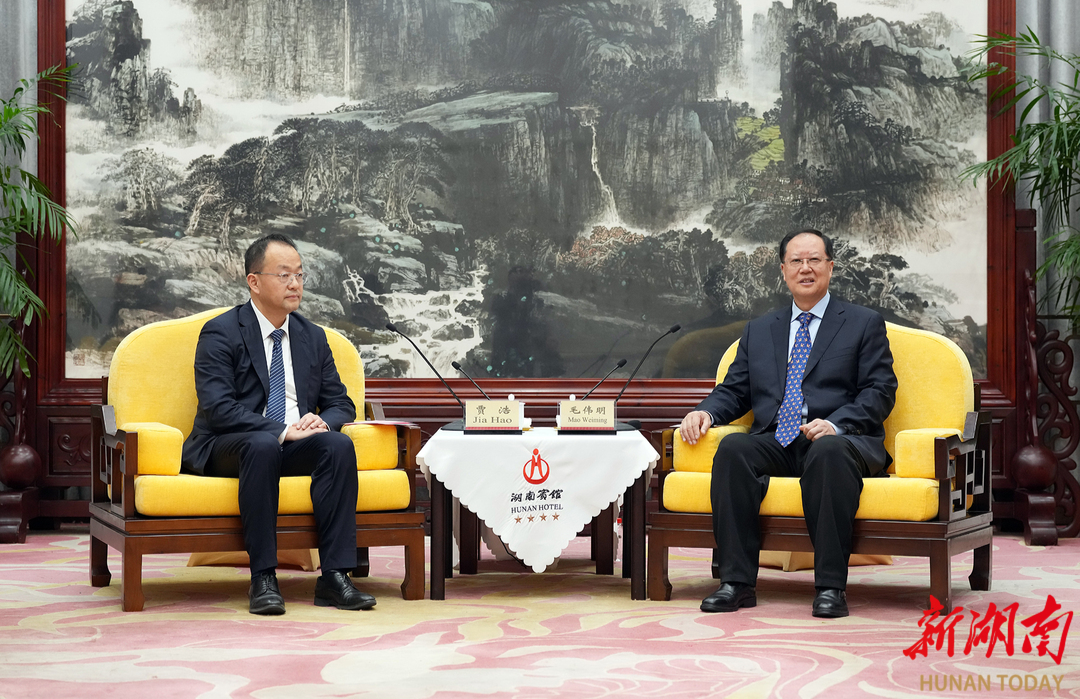 毛伟明会见索恩格客人