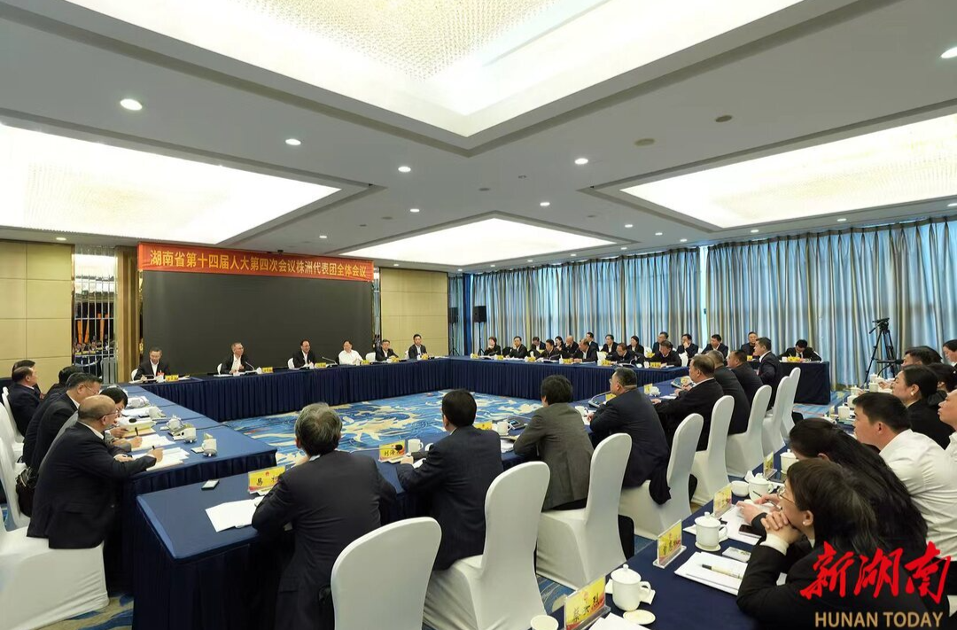 毛伟明参加株洲市代表团审议