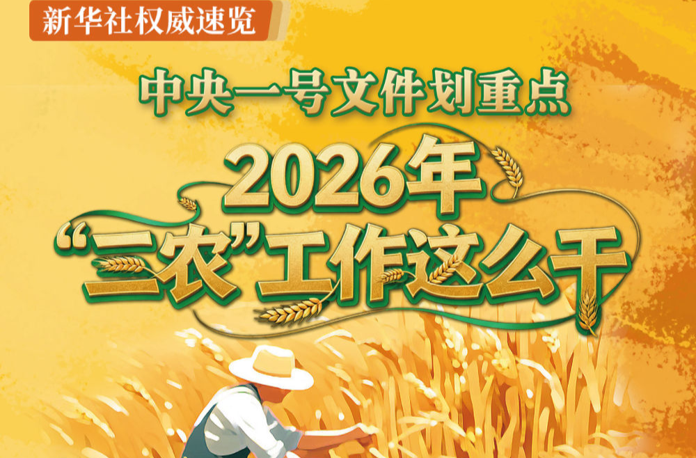 中央一号文件划重点，2026年“三农”工作这么干