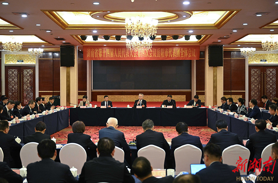 沈晓明参加岳阳市代表团审议