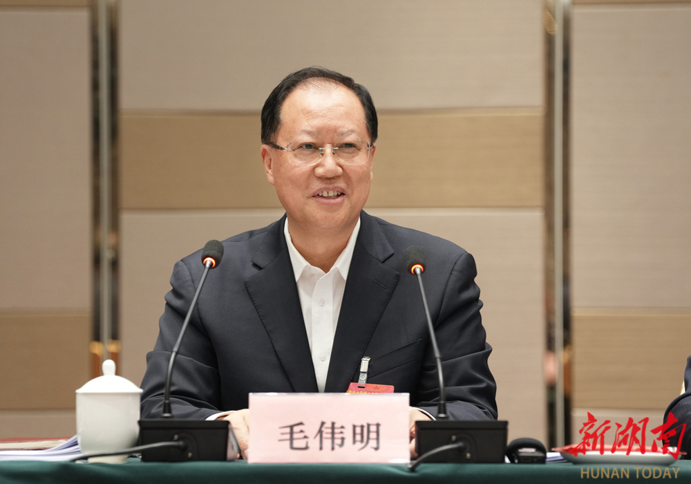 毛伟明参加益阳市代表团审议