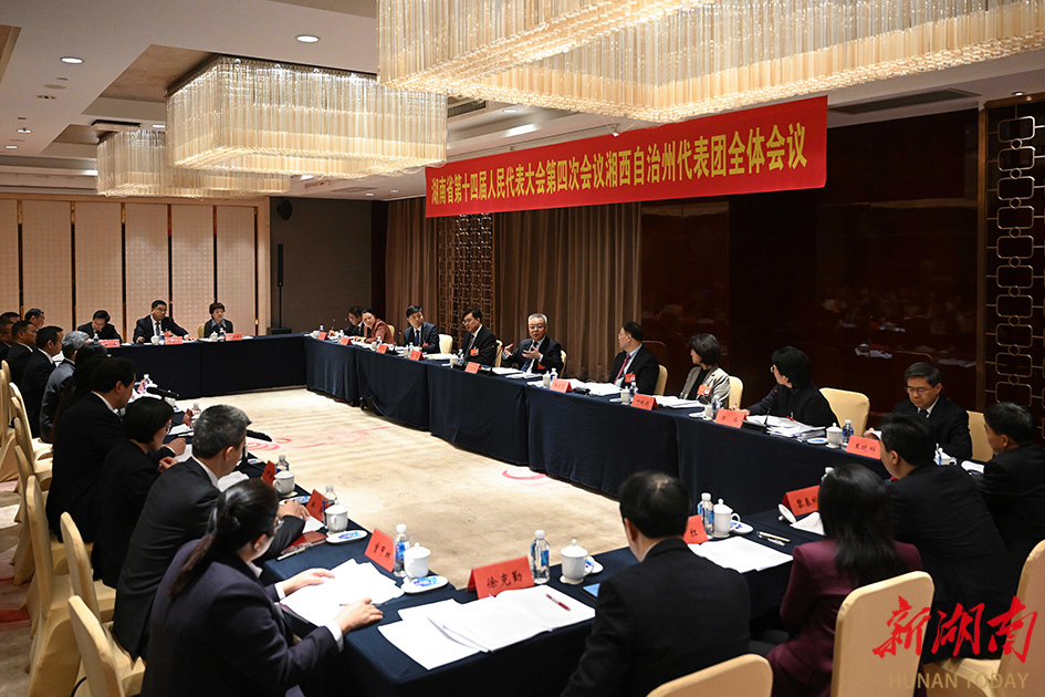 沈晓明参加湘西州代表团审议