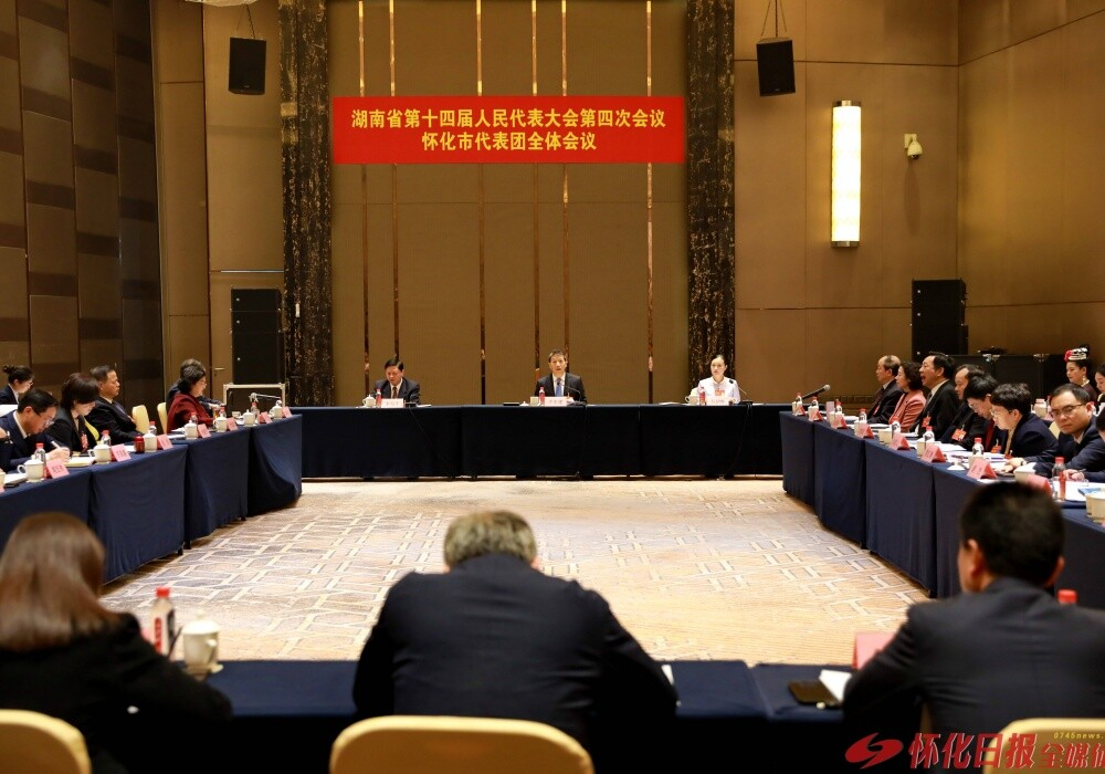 怀化市代表团举行第八次全体会议