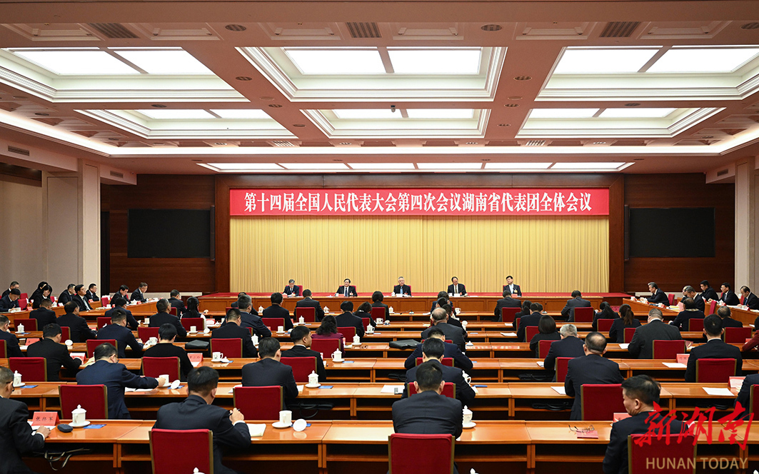 湖南代表团举行第一次全体会议