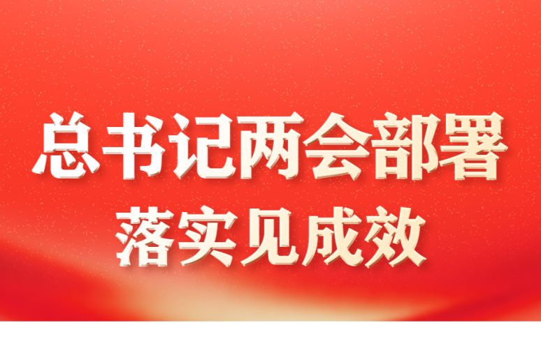 总书记两会部署落实见成效