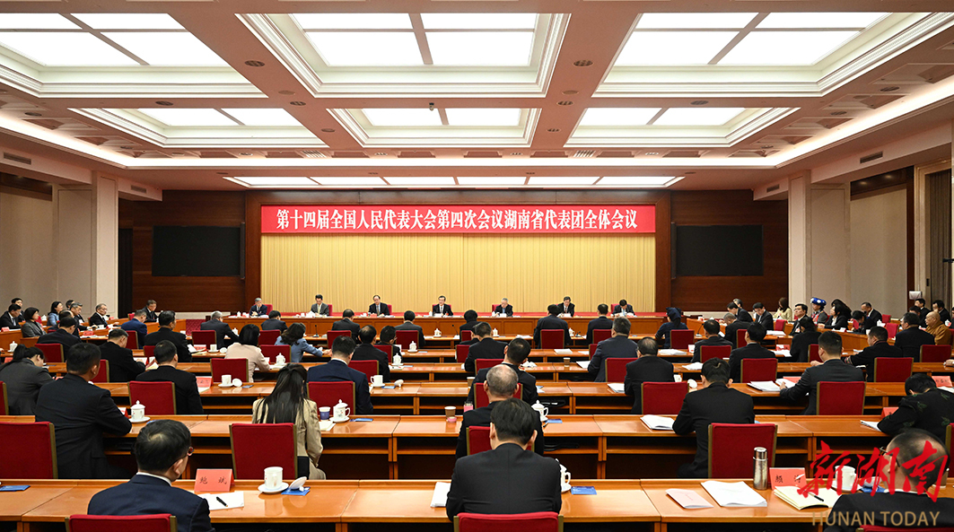 湖南代表团举行第三次全体会议和分组会议