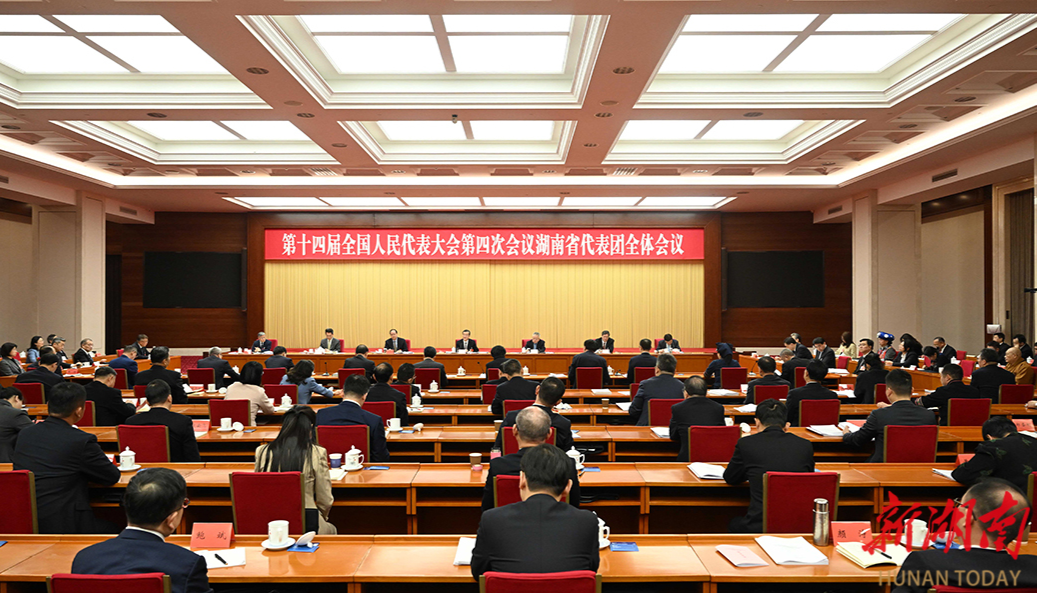 湖南代表团举行第三次全体会议和分组会议
