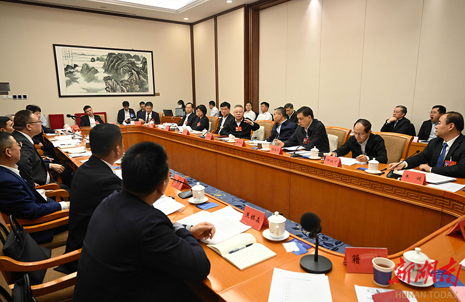湖南代表团举行分组会议 审查计划、预算报告和草案
