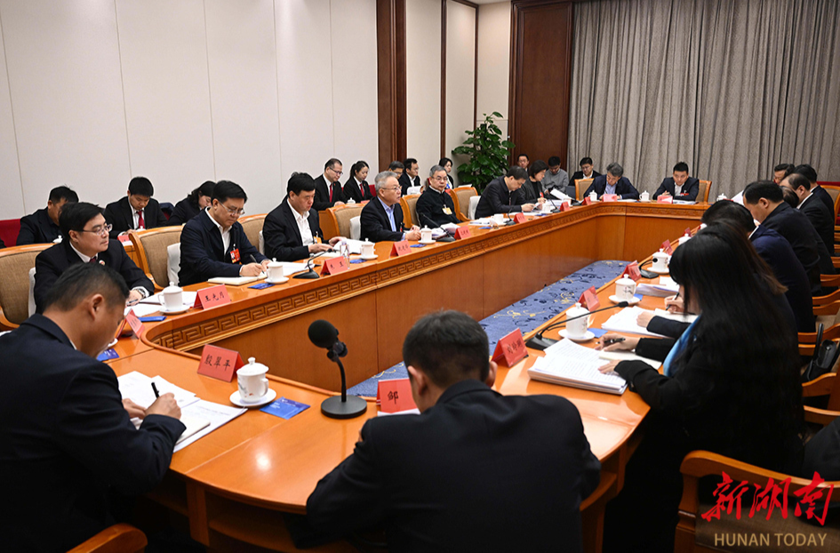湖南代表团举行分组会议 审议“两高”工作报告等