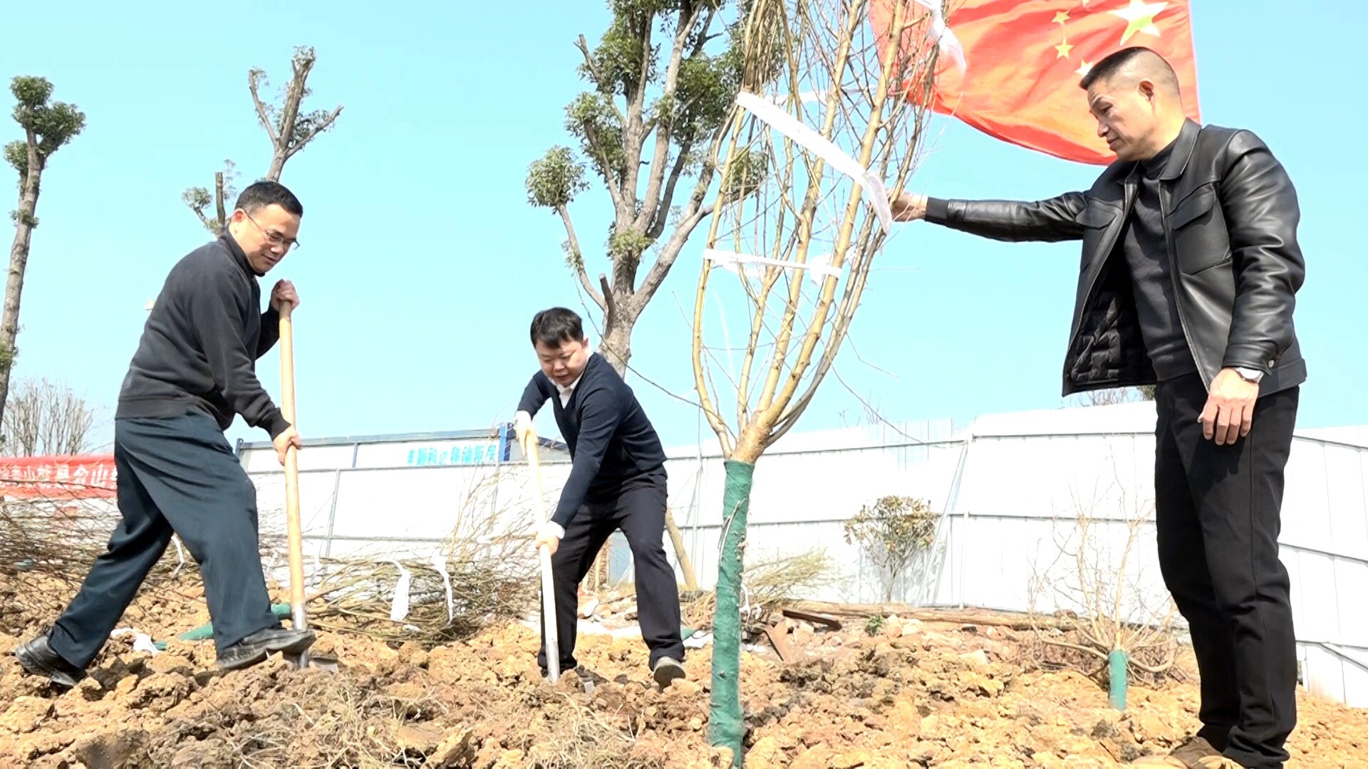 县四大家领导参加义务植树活动