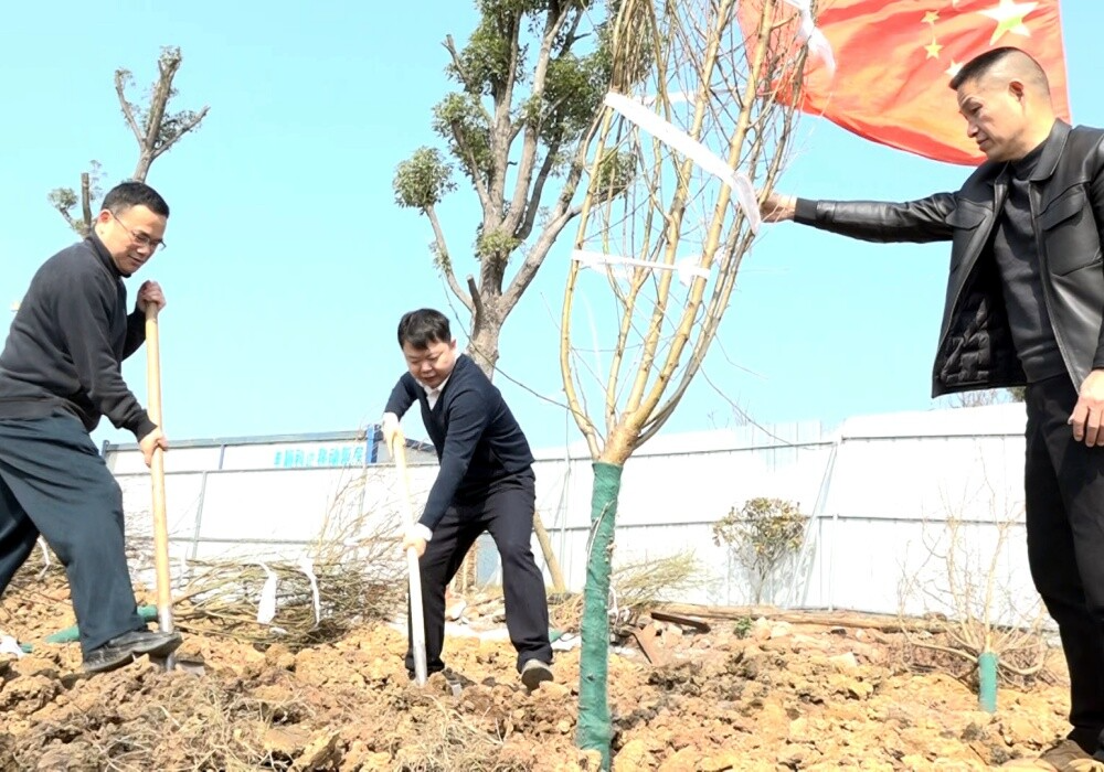 县四大家领导参加义务植树活动