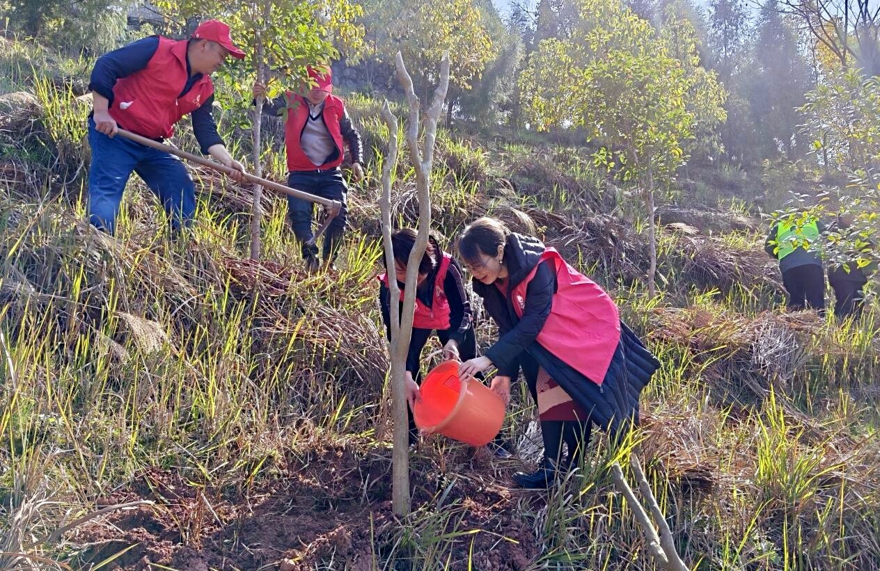 芷江：生态优先 绿色发展 让绿色成为芷江最动人的色彩