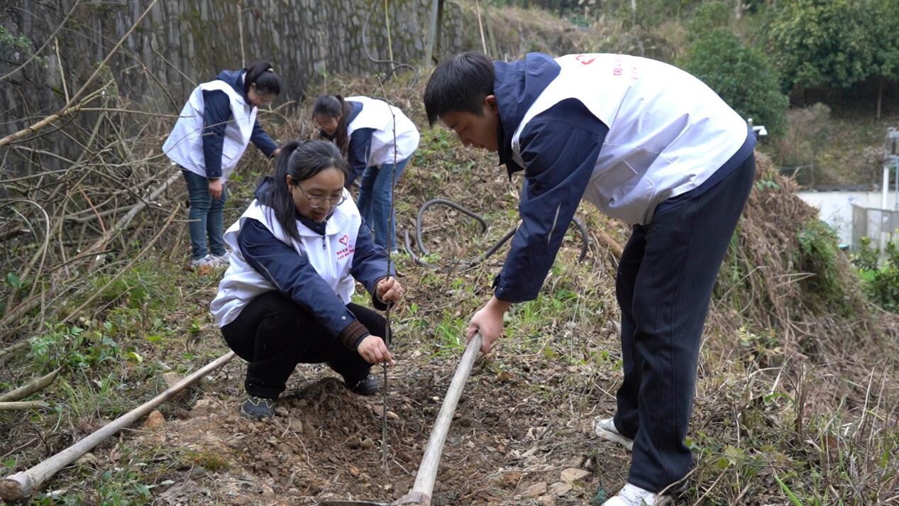 国网芷江供电公司：植树节添绿变电站 美化环境护安全