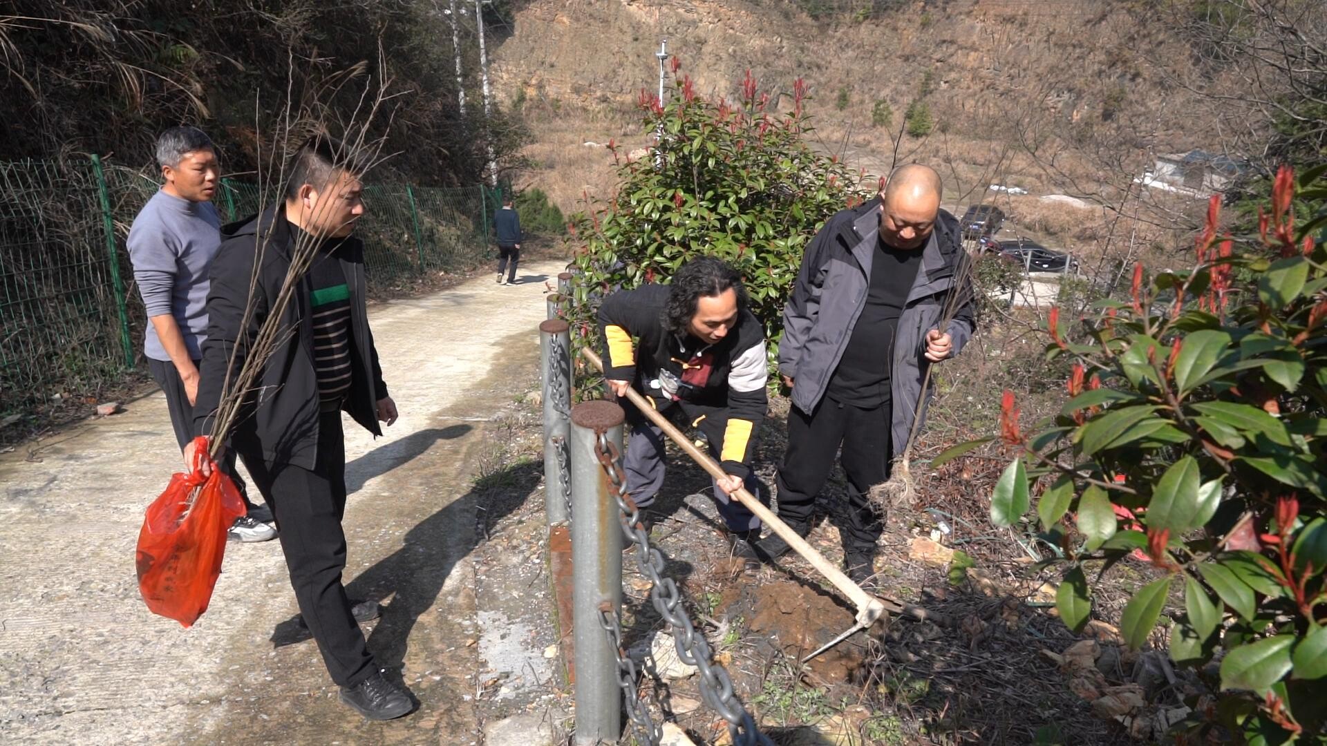 芷江融媒体中心党员干部赴明山开展义务植树活动