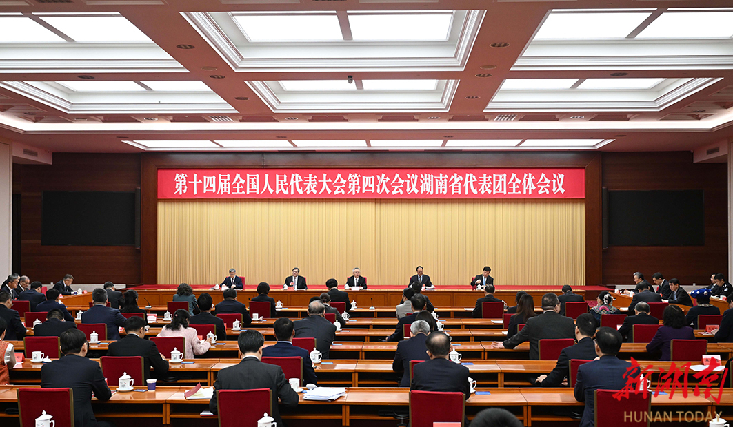 湖南代表团举行分组会议和第六次全体会议