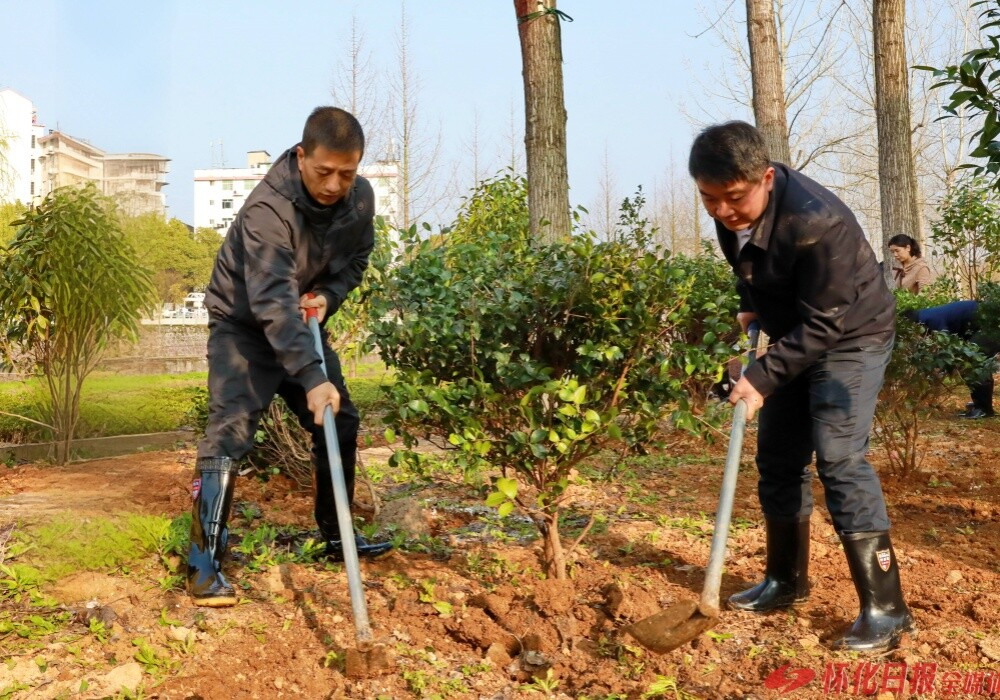 2026年全市集中义务植树活动举行