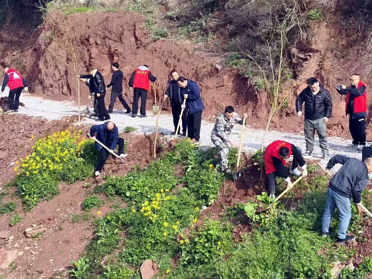 新店坪镇开展植树活动 为绿美乡村添新颜