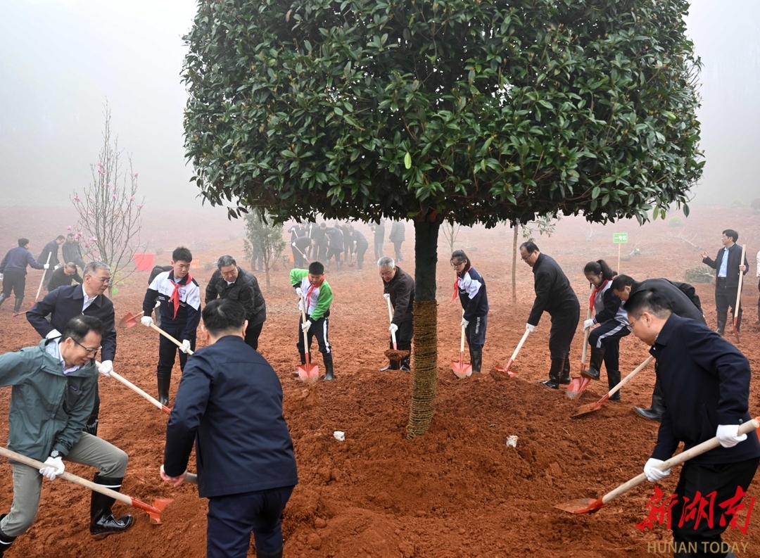 全省集中义务植树活动举行 沈晓明毛伟明毛万春参加