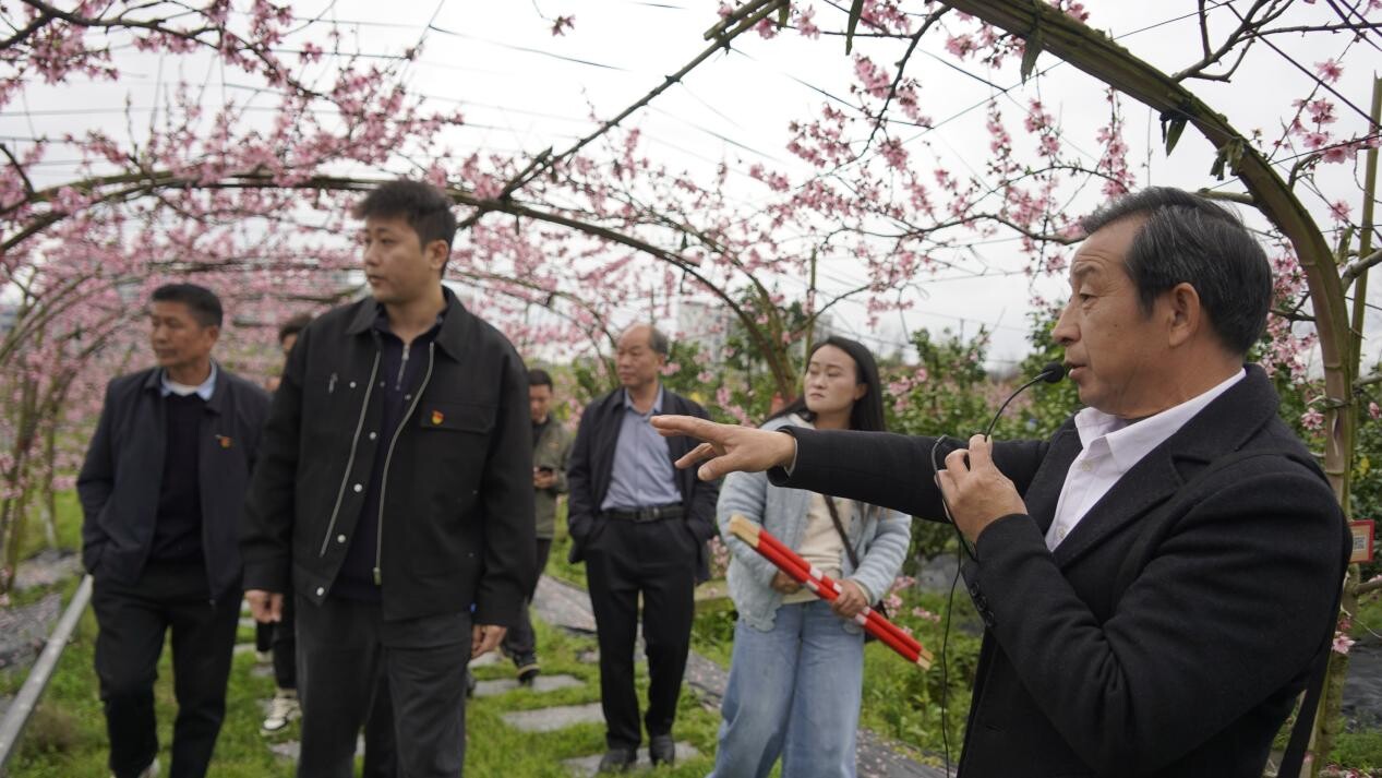 交流互鉴促发展 携手共探振兴路——川洞村党员干部赴芷江调研智慧农业