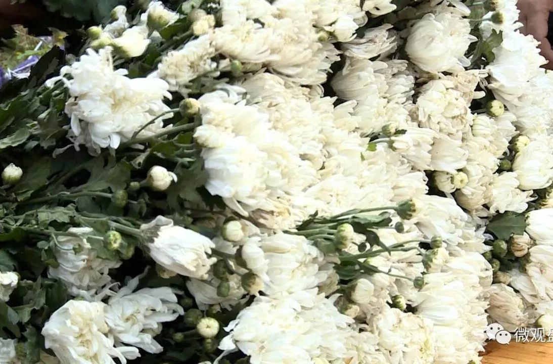 集纳各地殡葬服务权威信息 “中国殡葬网”正式上线