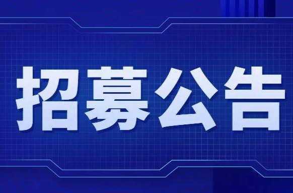 芷江侗族自治县金融事务中心2026年公开招募见习生公告