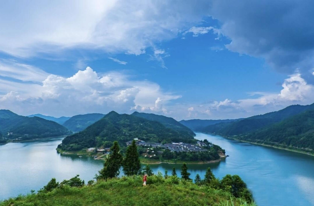 芷江：林权“两权分离”激活山林 蹚出绿美共生新路径