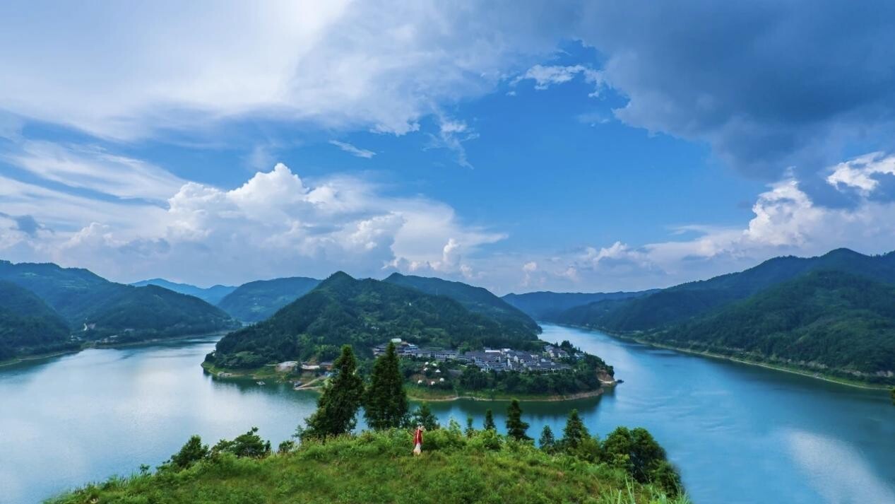 芷江：林权“两权分离”激活山林 蹚出绿美共生新路径