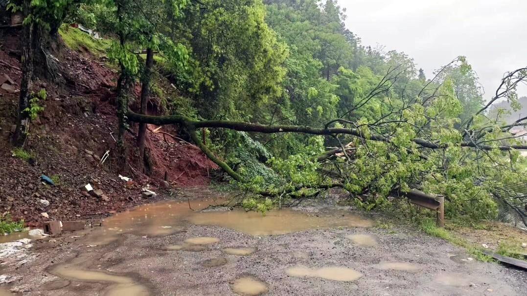 暴雨致山体塌方 土桥镇紧急抢险保畅通