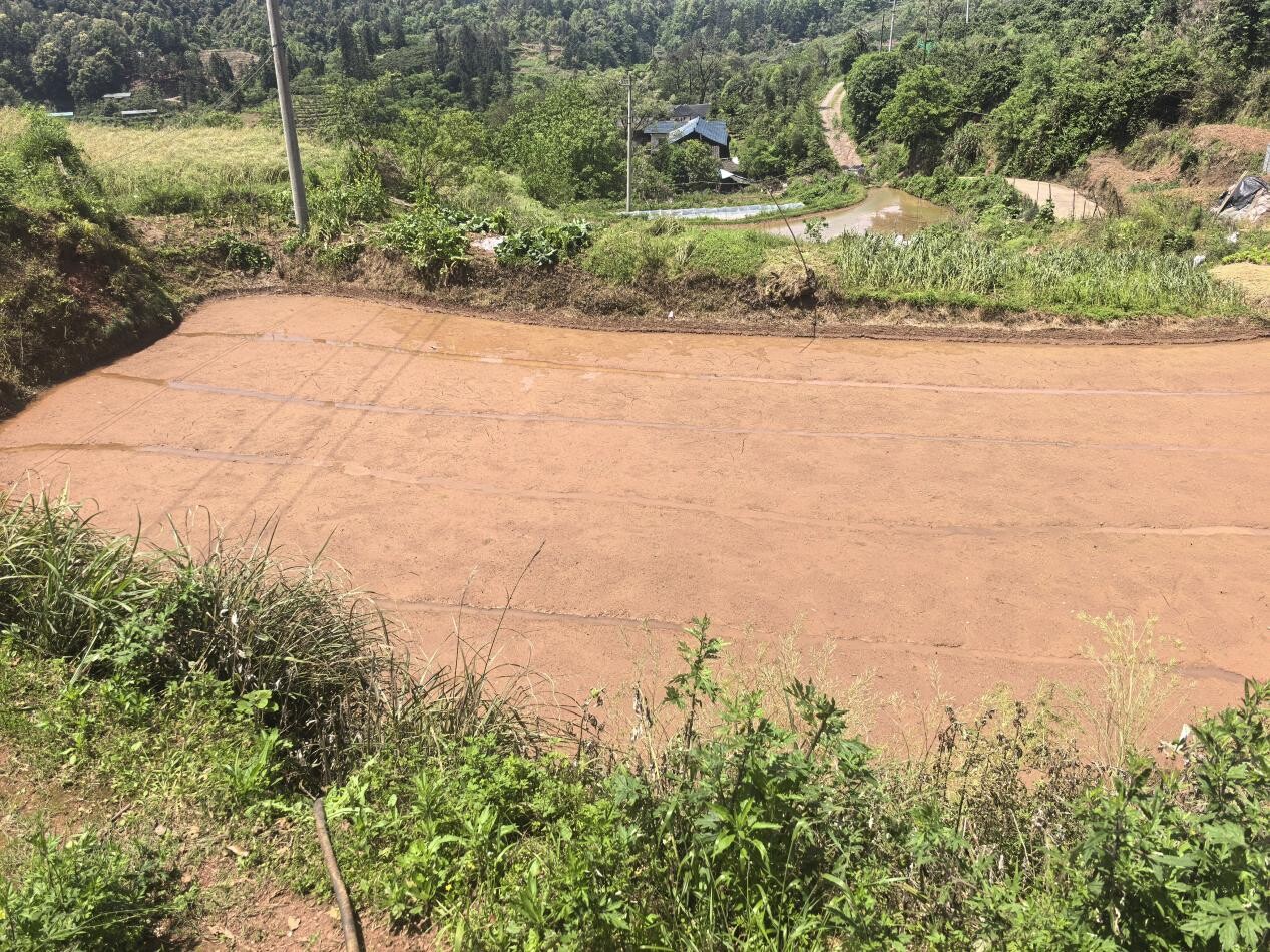 罗卜田乡：春耕育苗忙，筑牢粮食安全“根基”