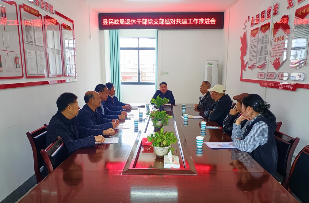 芷江民政局退休干部党支部主持召开结对共建推进会  凝聚银发合力 共促党建提升