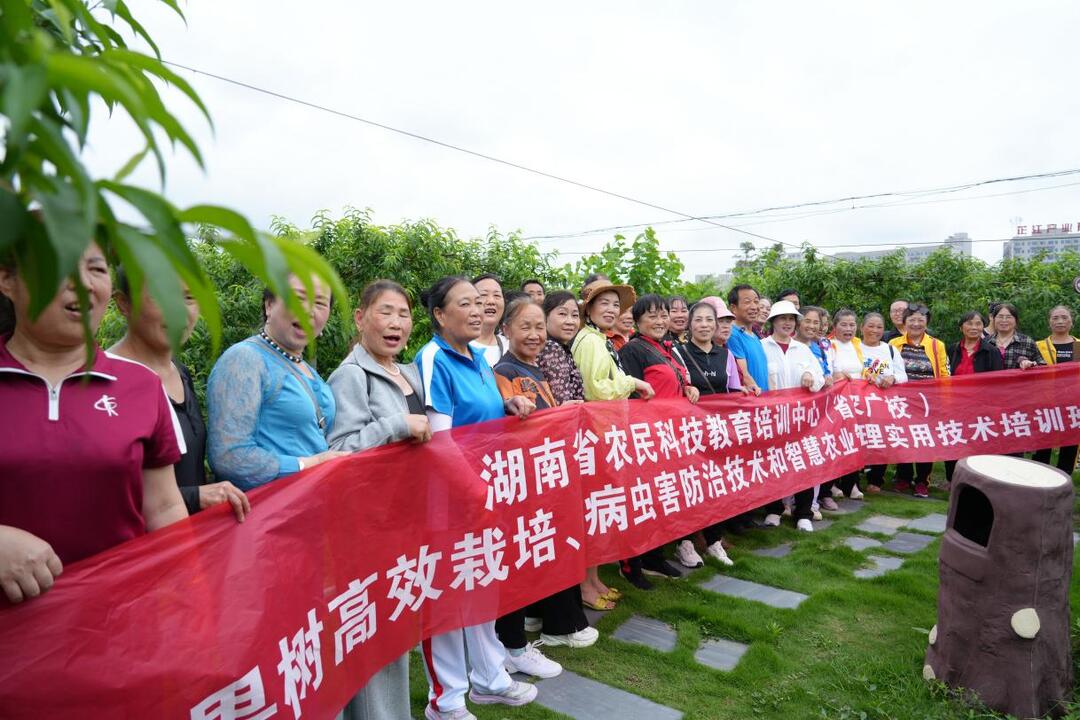 家门口的农技课堂 禹佑田间学校为芷江果农送上“技术大餐”