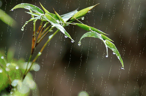 未来几天怀化几乎天天有雨