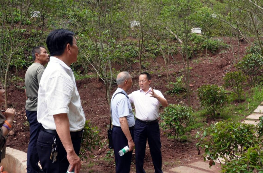 学规划谋产业 献银发促振兴