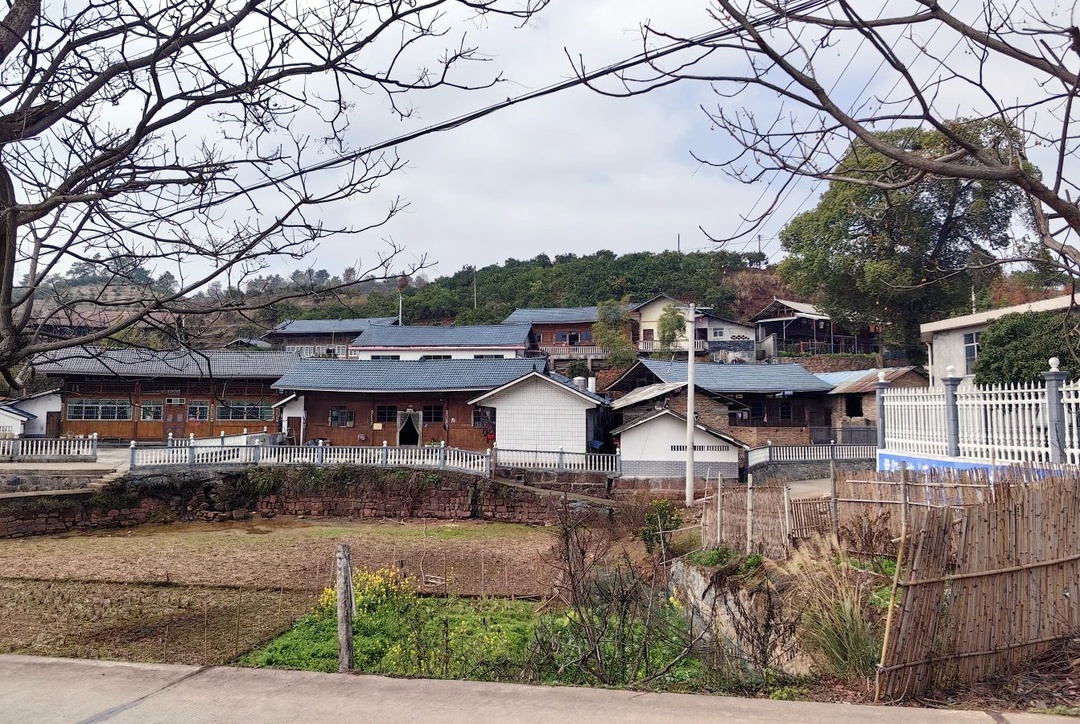 楠木坪镇联合村：深耕和美乡村建设 绘就乡村振兴新图景